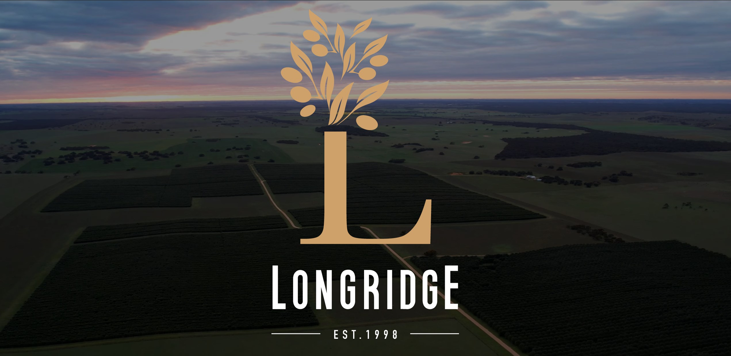 Long Ridge Oil Longridge Olives | Award winning 100% Certified Australian Extra Virgin ...